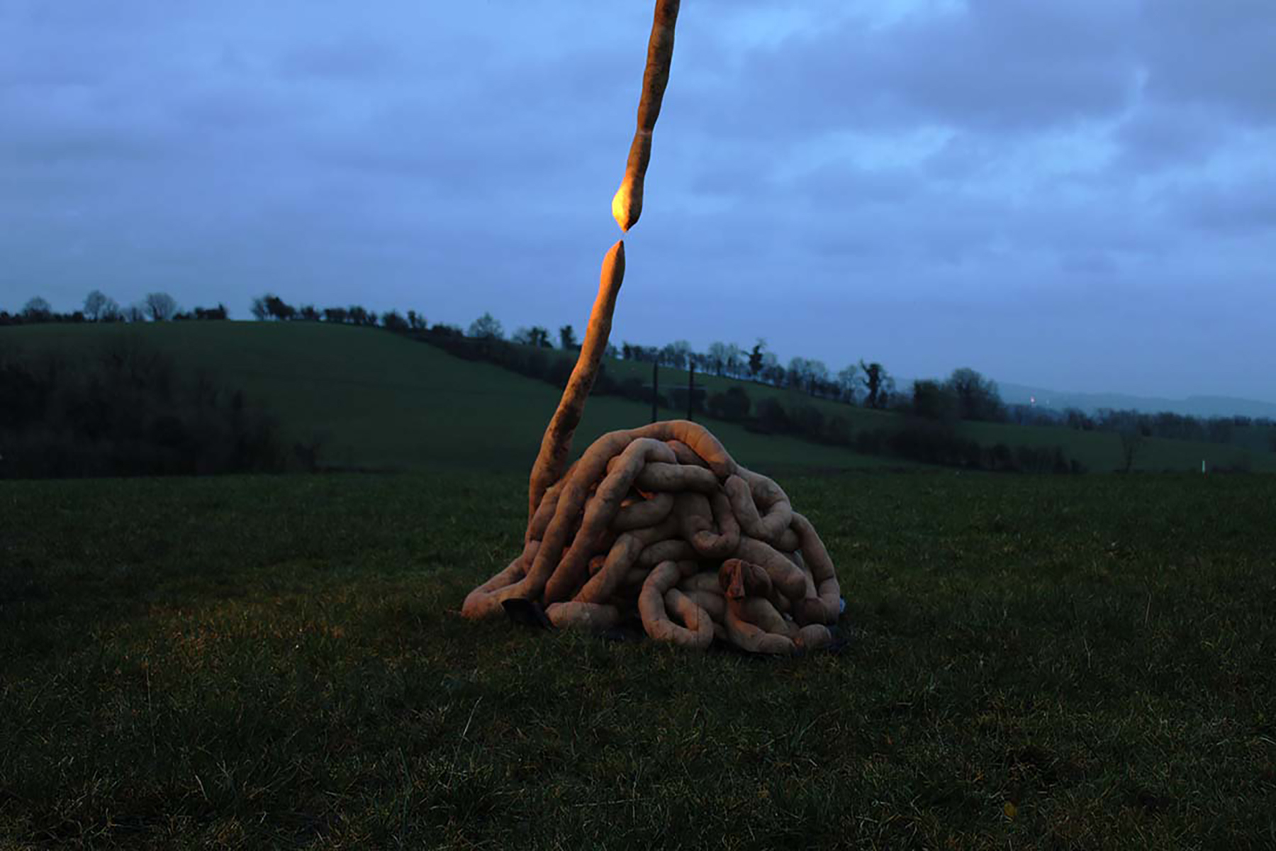Endless by Ellen Cassidy, 2021, Nylon & Wool.
