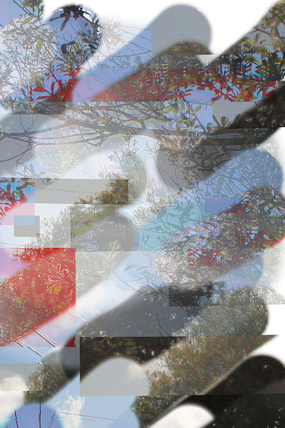 Untitled by Fiona Plunkett, 2021, Digital Print.