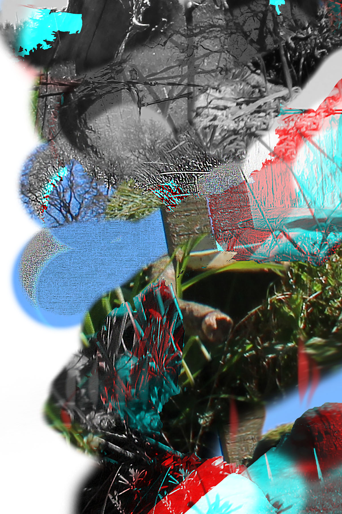 Untitled by Fiona Plunkett, 2021, Digital Print.