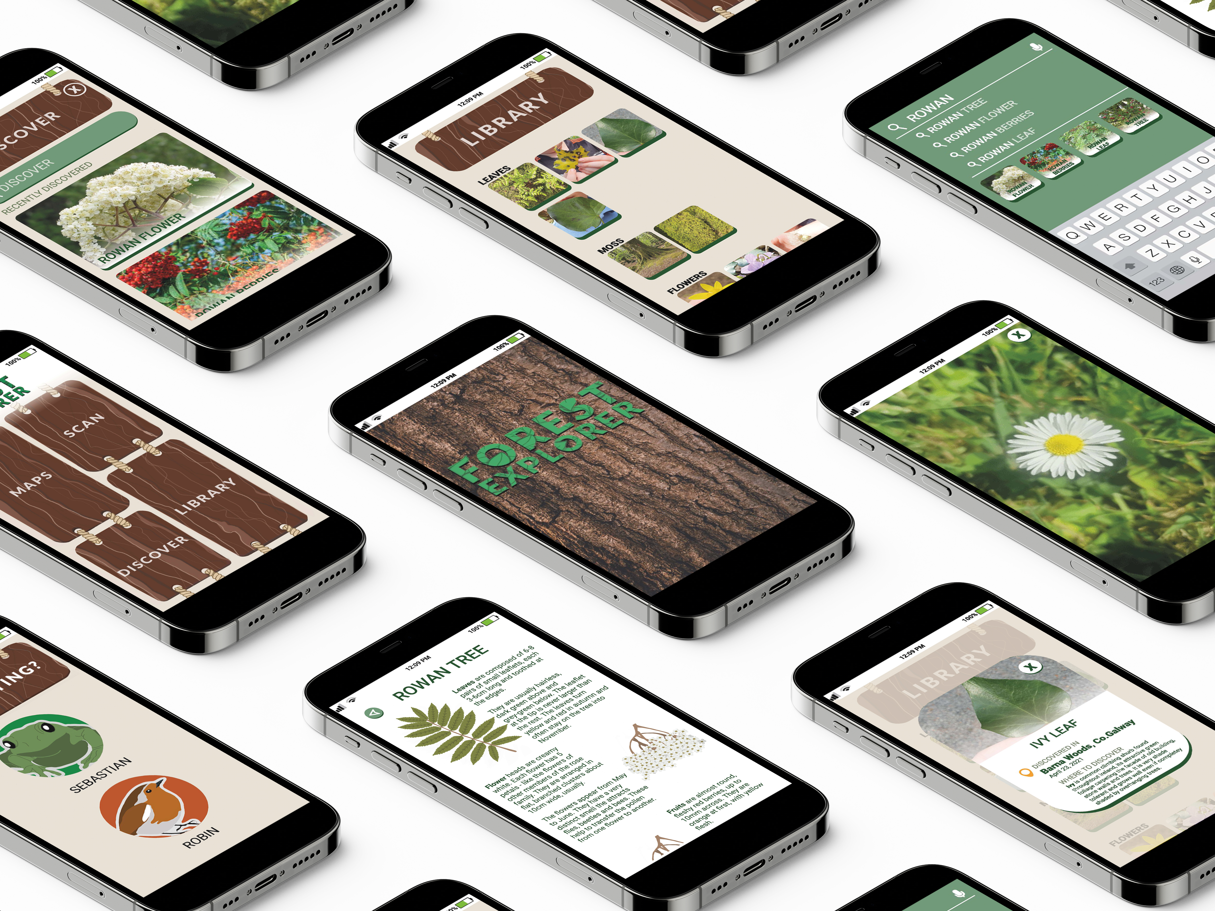Forest Explorer by Caitilín O’Toole, 2D, Screens are made for iPhone 8.