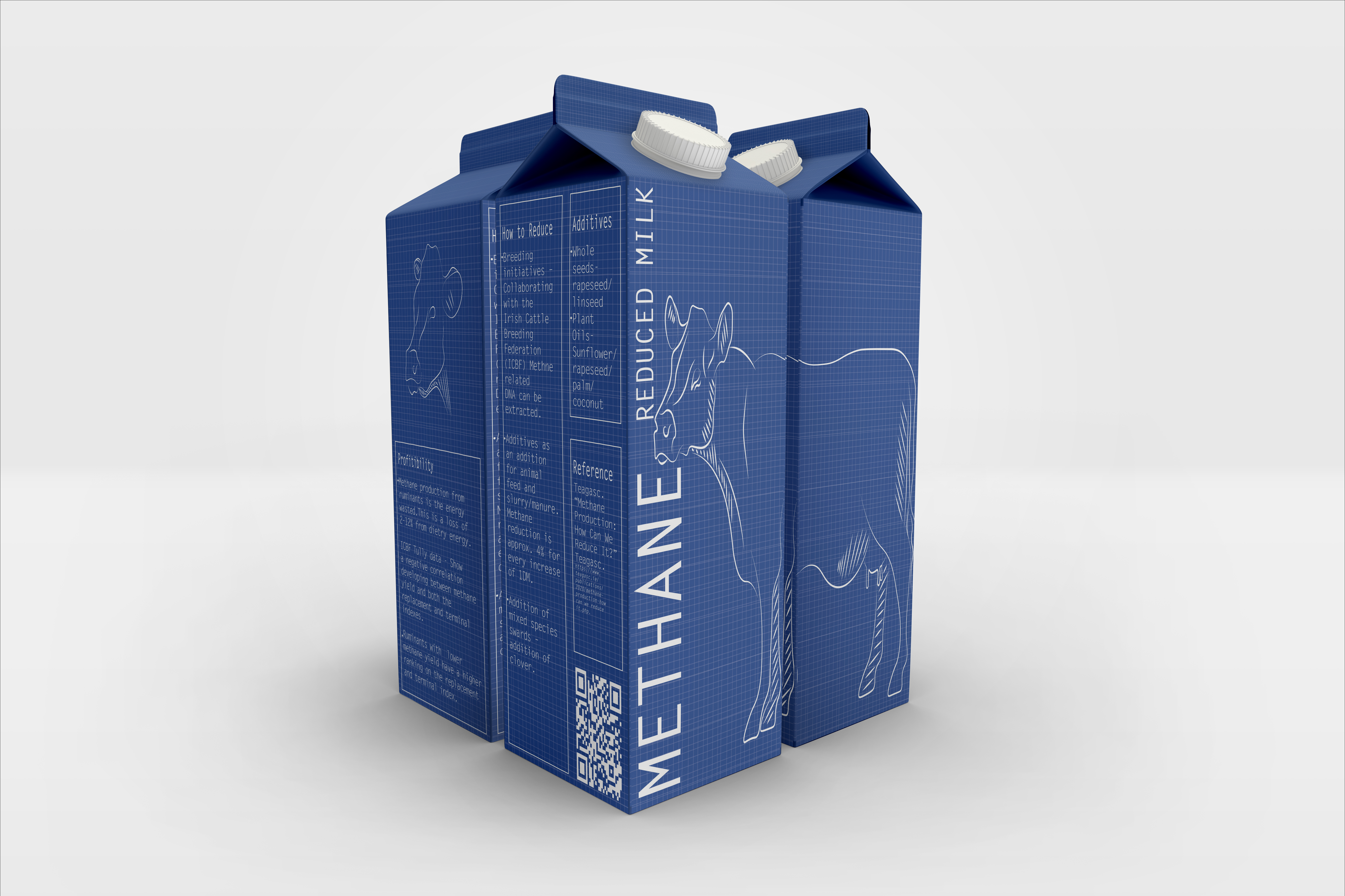 Milk Carton 360 by Ciarra Noonan