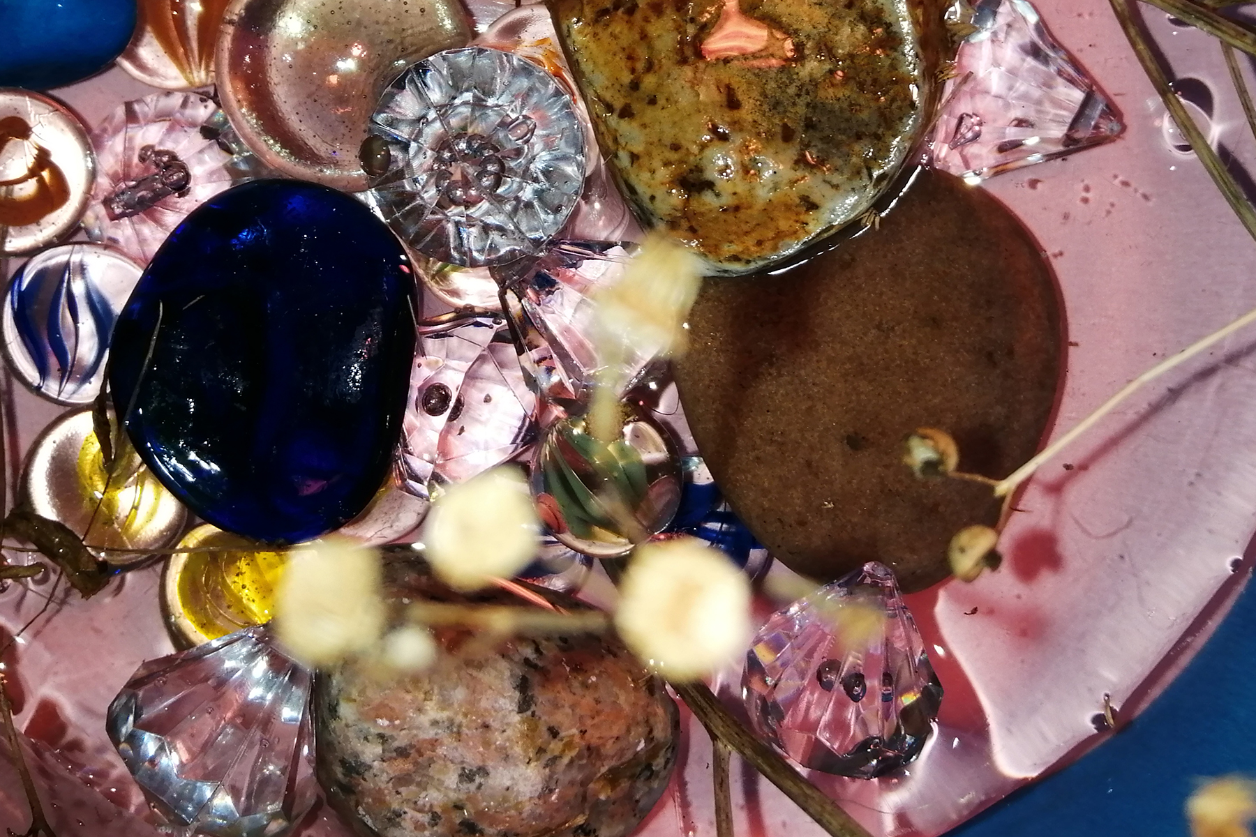 caden only likes rotten things//biome ii by Niamh Murphy, 59.4 x 84.1cm, Inkjet print.