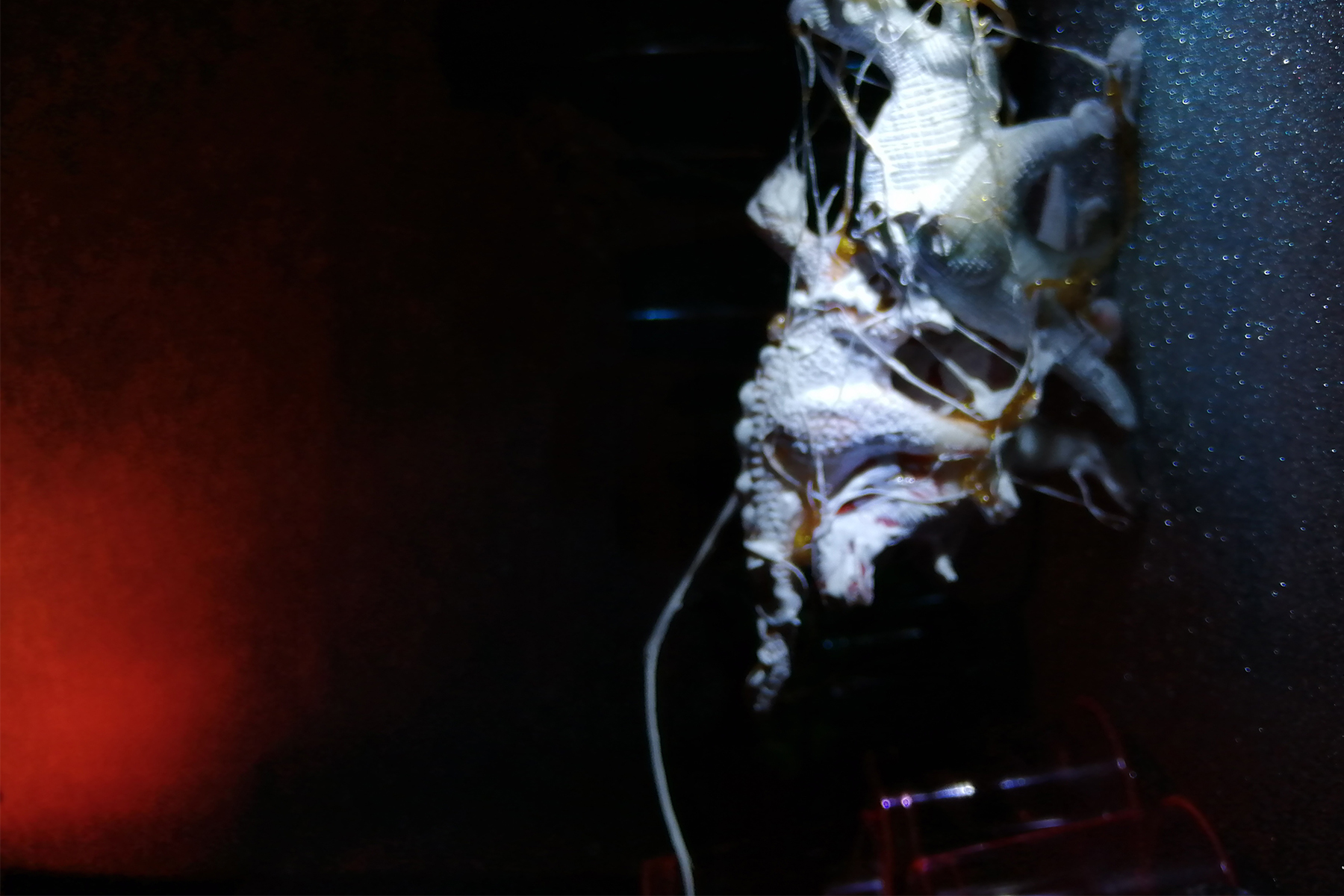Untitled by Niamh Murphy, 15 x 21 cm, laser print.