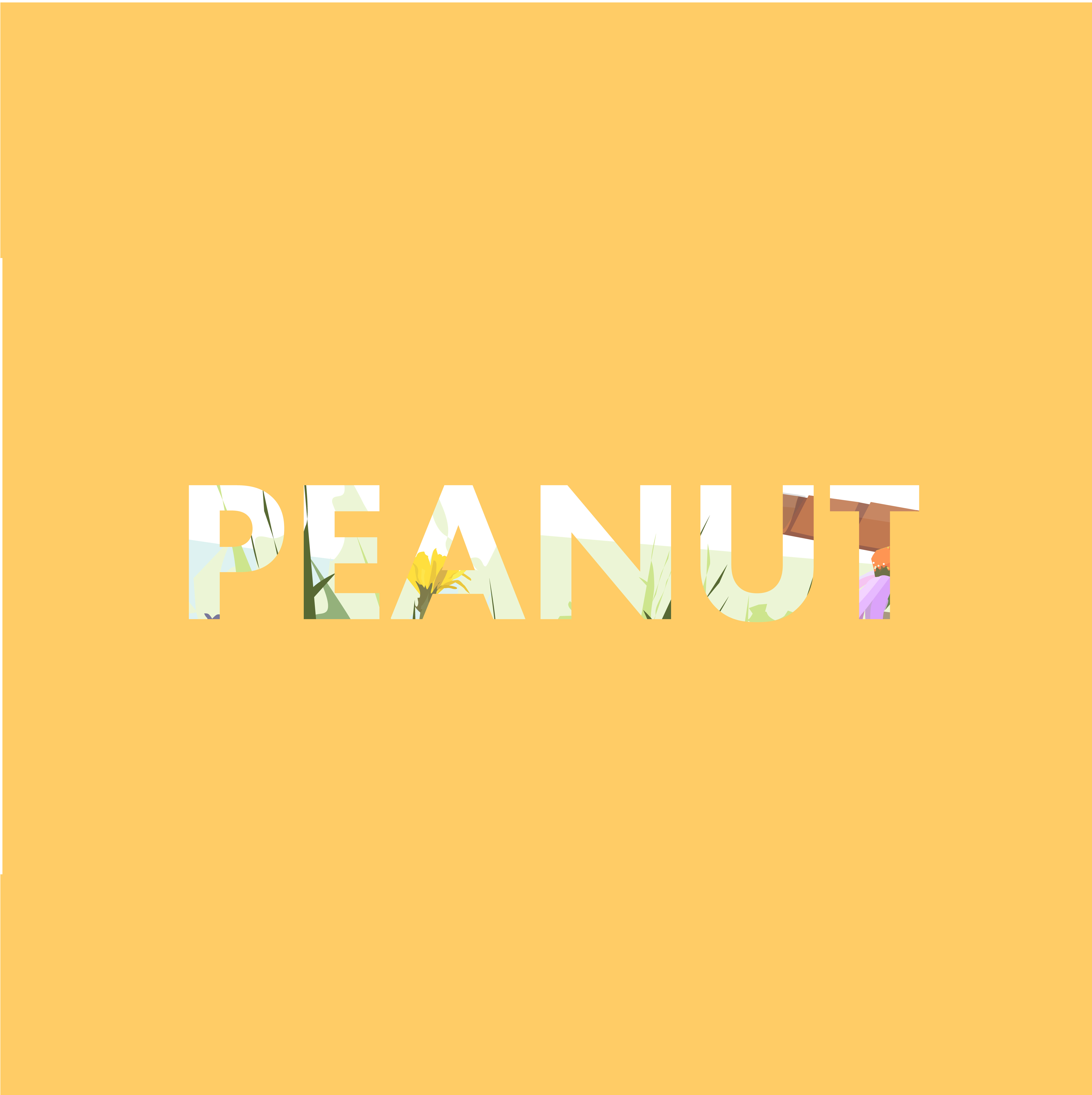 Peanut by Noel Hernon, 2D: Designed for Instagram format, 1080 x 1080, Any size is fine.