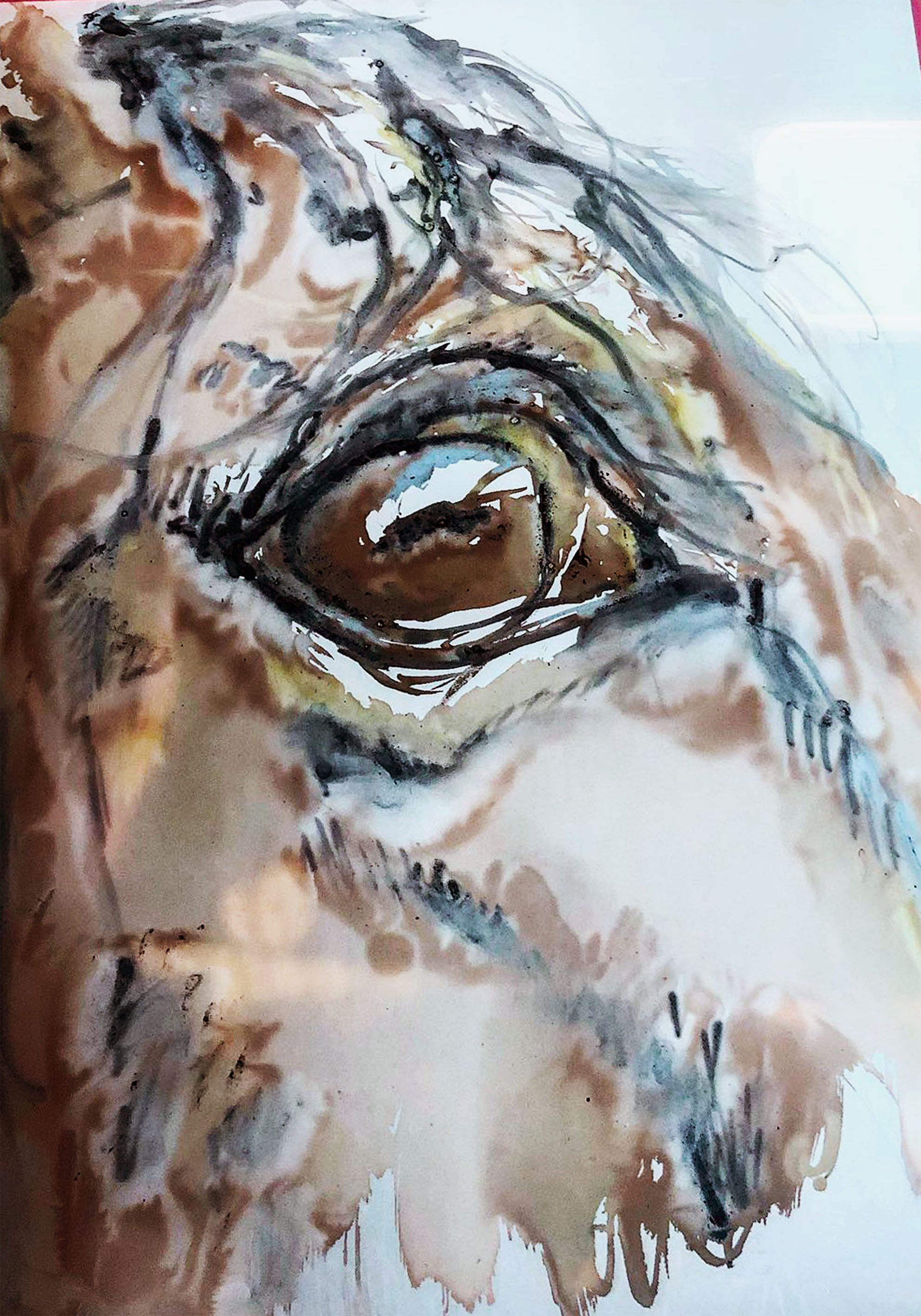 Lucy by Shannon Johnston. Procian dye painting on silk screen edited in photo-shopped, 70cmx100cm