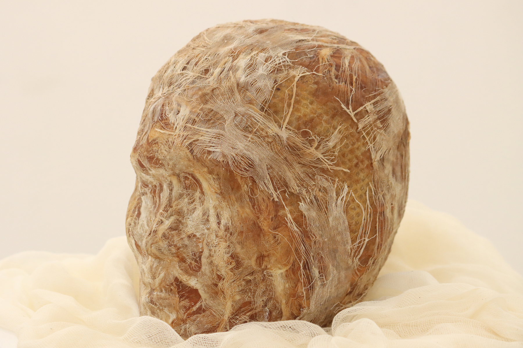 Lost Identity by Hien Cao Nguyen Dimension: 21 x 18 cm Material: Constructive textile Statement: "Lost Identity" work is the artist’s self-portrait and represents a self-reflection of her identity. This piece is made from the mould of her head and is made of latex, fabric and filled with bee comb. It’s the representation of a lost identity in which the artist has no memory of her childhood in her homeland.
