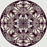 'Butterfly Vertebrae' by Holly Ellis 2D: Dimensions/Ratio of piece – 100cm x 100cm unframed Photography and Digital Collage, Edition of 10.