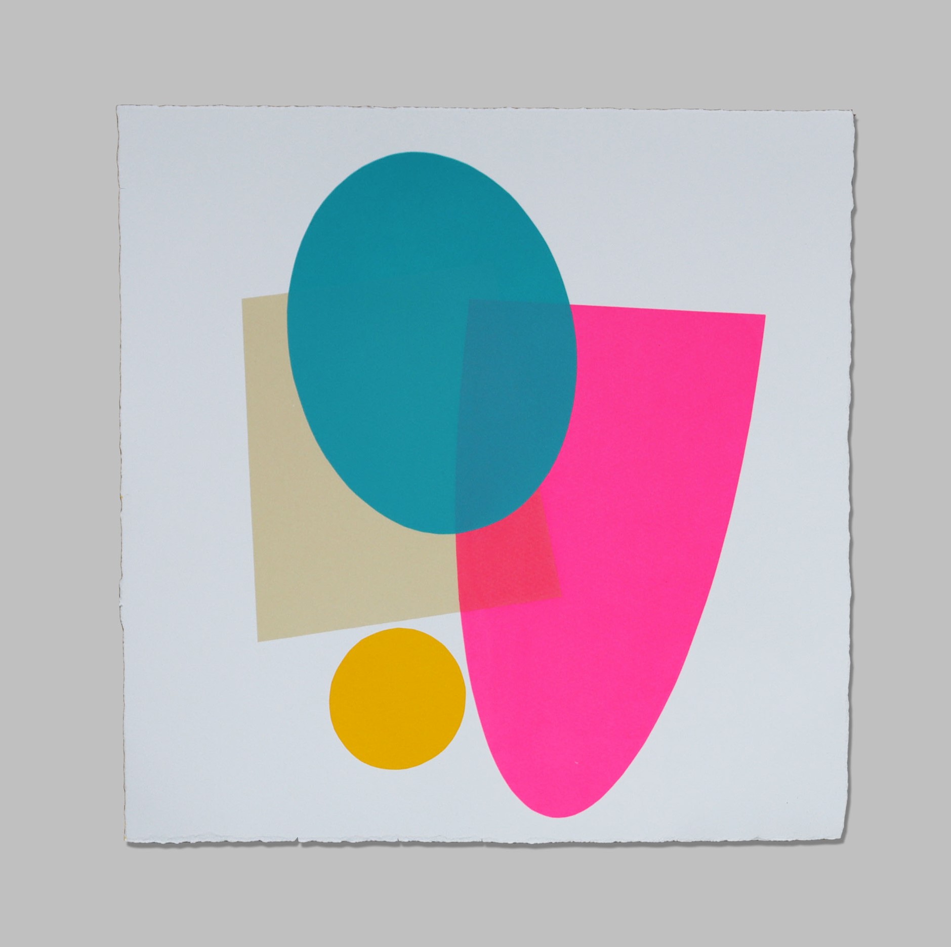 Artist – Luke Reidy Title “Julys Joy” Size – 35x35cm Edition of 12 Screen printed on Somerset Satin paper 2021
